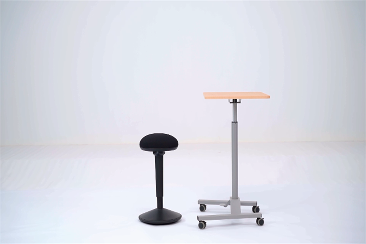 R22BK series Instruction Video Active stool Standard